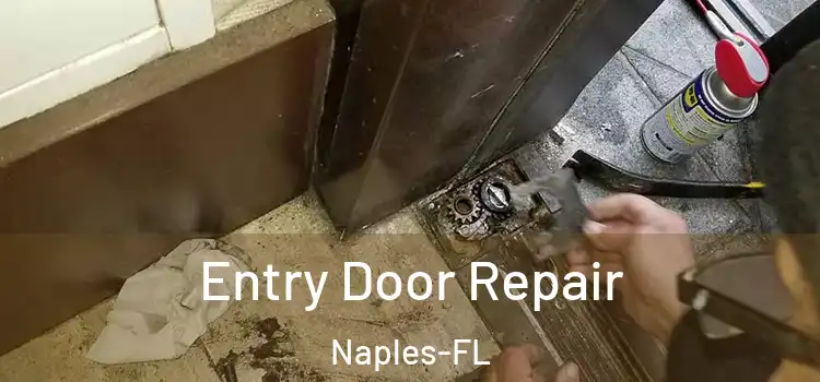 Entry Door Repair Naples-FL