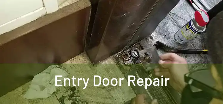 Entry Door Repair