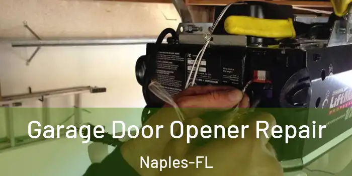 Garage Door Opener Repair Naples-FL