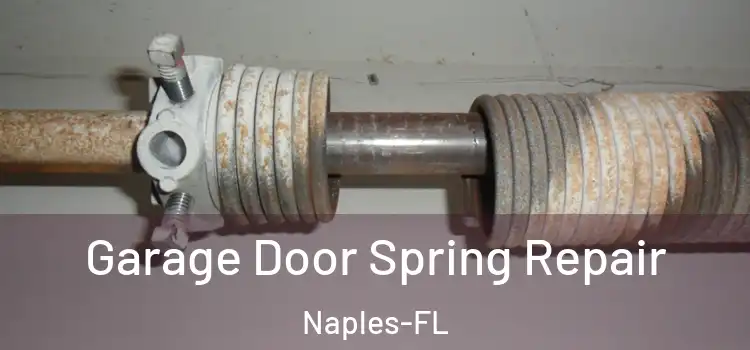 Garage Door Spring Repair Naples-FL
