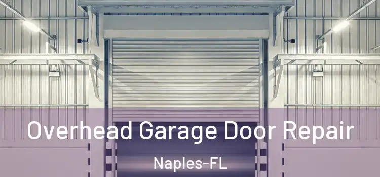 Overhead Garage Door Repair Naples-FL