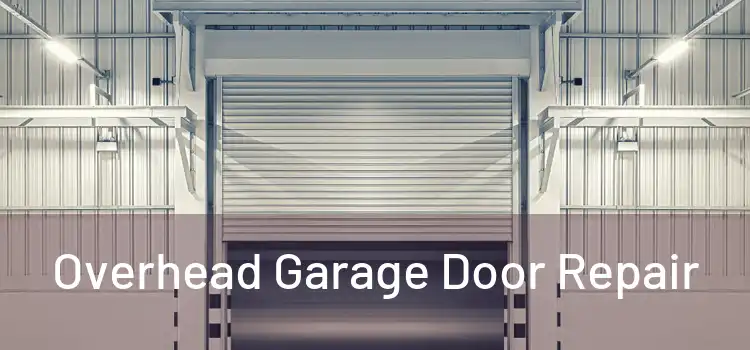 Overhead Garage Door Repair